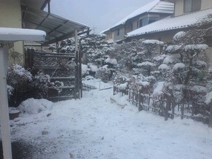 20140113実家雪.jpg